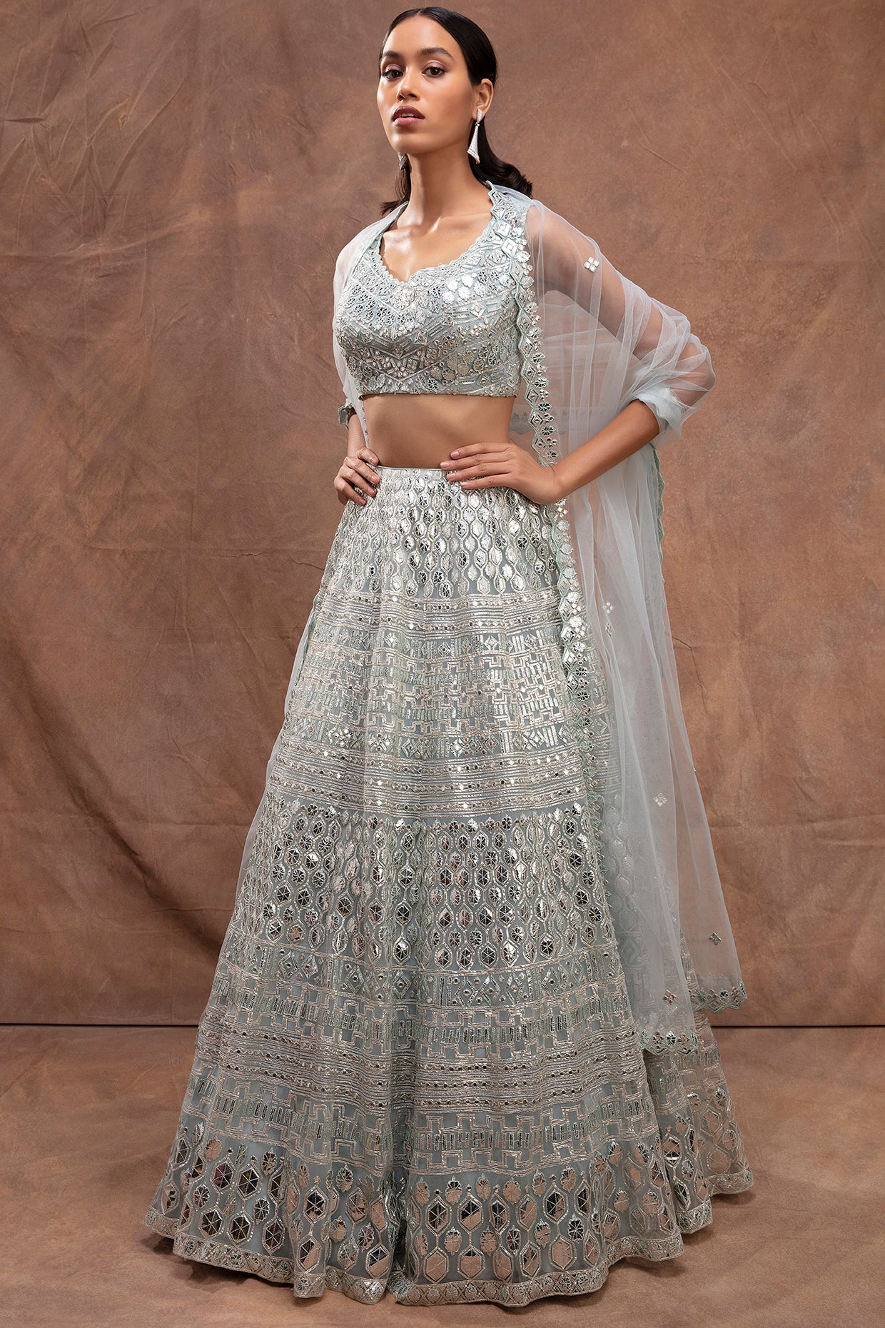 silver lehenga choli – Page 19 – Joshindia